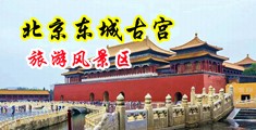 性感美女插插超爽视频中国北京-东城古宫旅游风景区